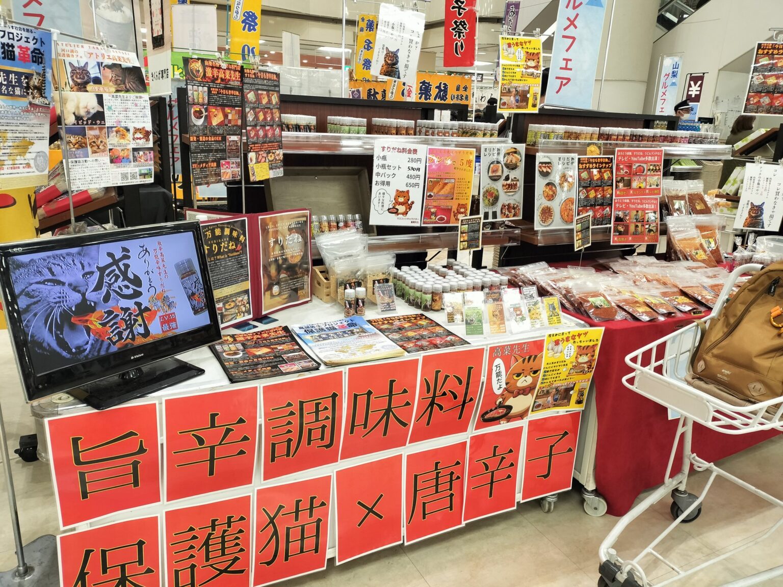 桑原 淳