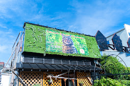 桑原 淳