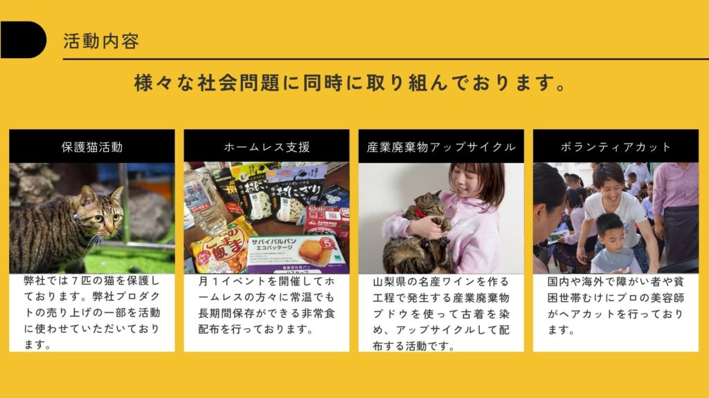 活動内容1列目：猫支援〜ボランティアカット